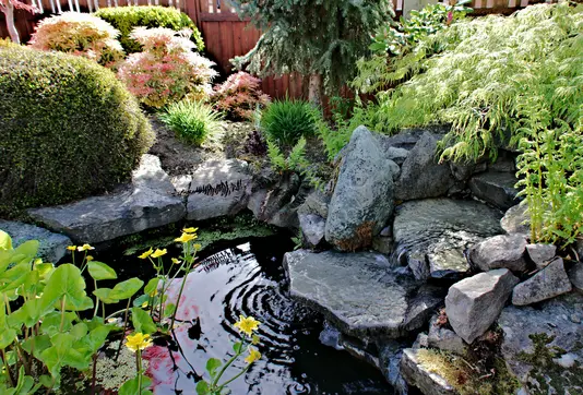 garten-vor-haus-teich-gartenteich-wasser-01